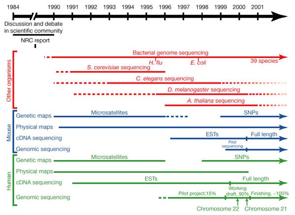 Initial Sequencing And Analysis Of The Human Genome Nature