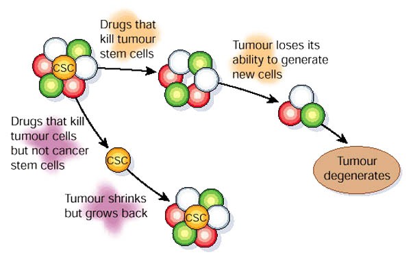 https://media.springernature.com/m685/springer-static/image/art%3A10.1038%2F35102167/MediaObjects/41586_2001_Article_BF35102167_Fig5_HTML.jpg