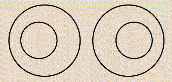 Seeing in reverse | Nature