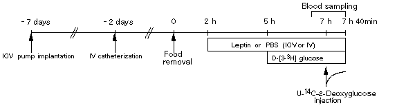 feature-image