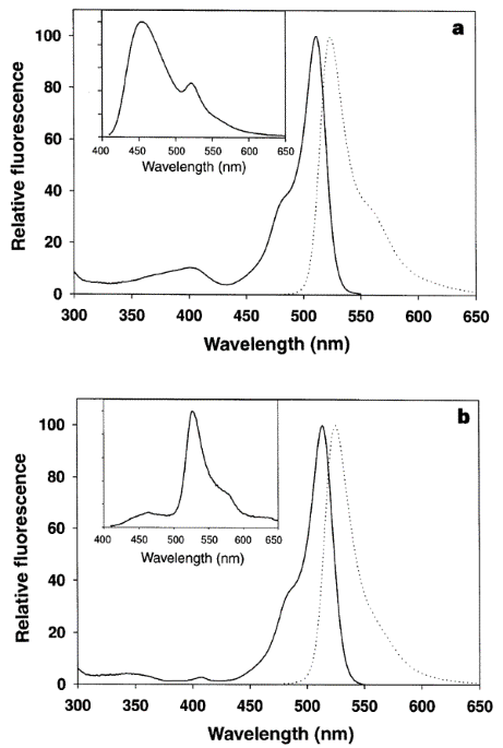 On Off Blinking And Switching Behaviour Of Single Molecules Of Green Fluorescent Protein Nature