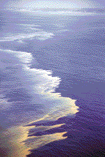 Turning back the harmful red tide