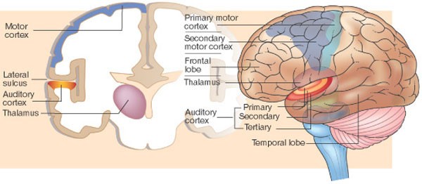 feature-image