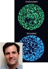 How small should you go? | Nature