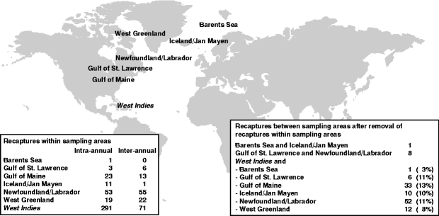 Genetic tagging of humpback whales