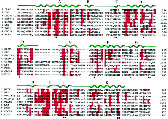 Structure And Mutagenesis Of The Dbl Homology Domain Nature Structural Molecular Biology