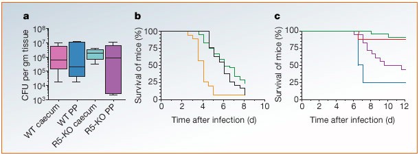 Ccr5 mutation and plague protection