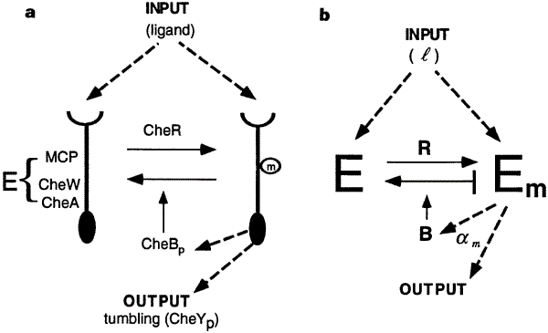 feature-image