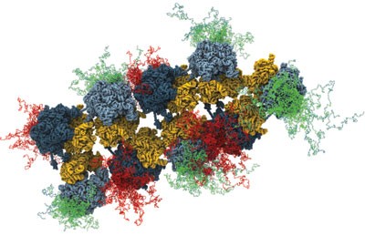 Molecular biology: industrial complex