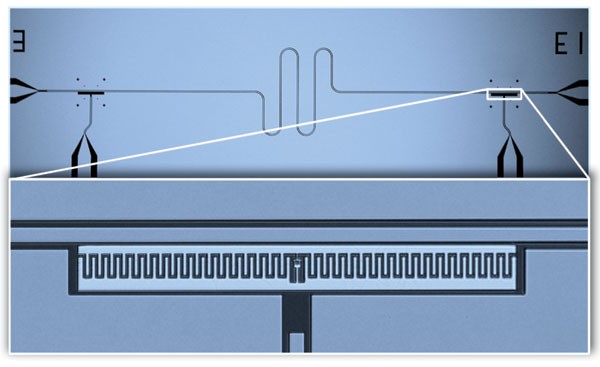 feature-image