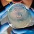 Us biotech firms line up for tax credits
