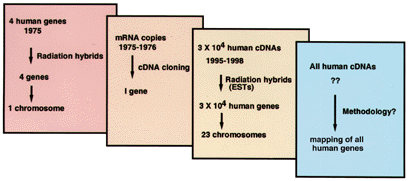 feature-image