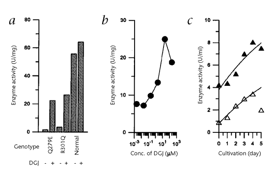 Accelerated transport and maturation of lysosomal α–galactosidase a in fabry lymphoblasts by an enzyme inhibitor