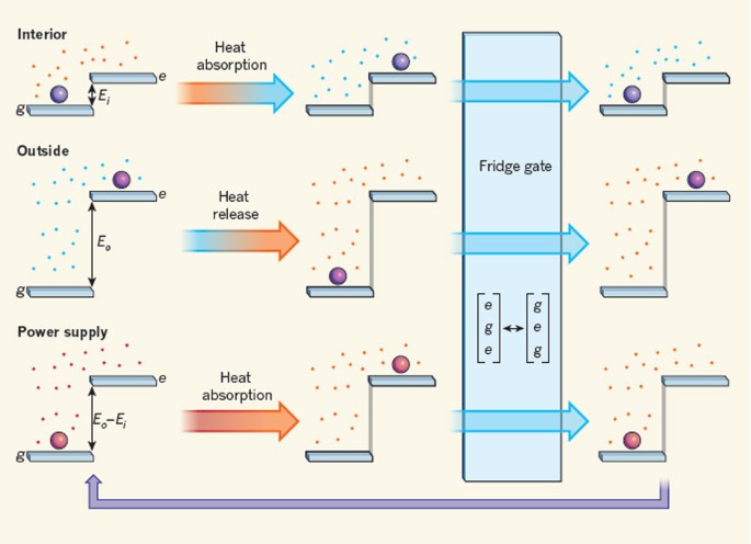 The fridge gate | Nature