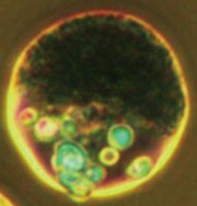 feature-image