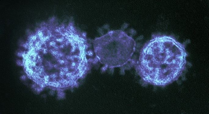 Clusters of coronavirus cases put scientists on alert