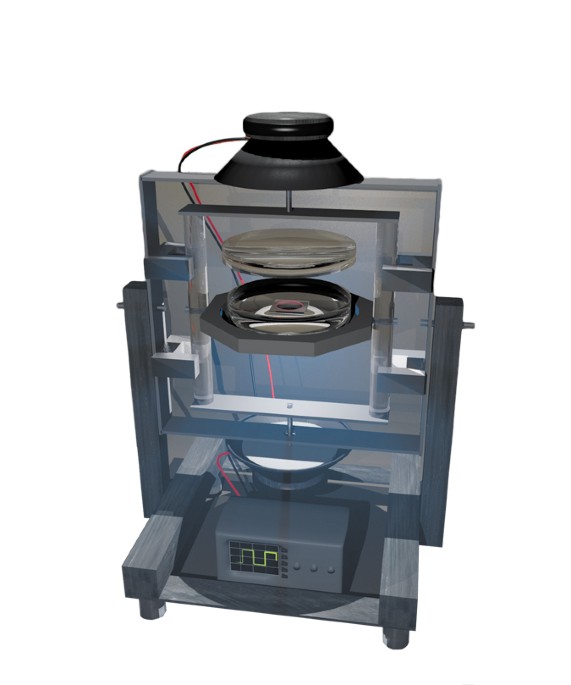 feature-image