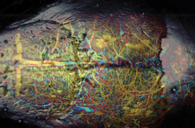 Technology: Multiple exposure | Nature