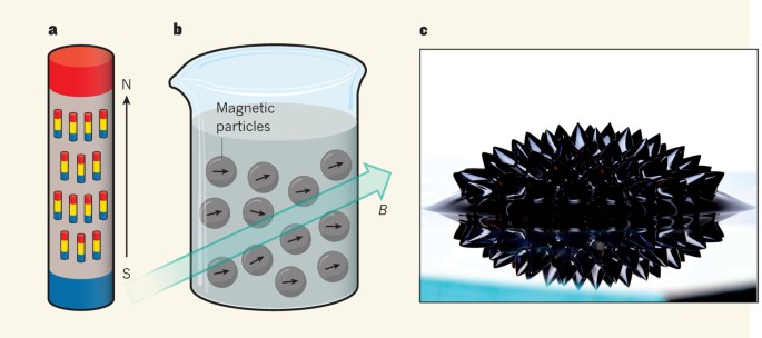 https://media.springernature.com/m685/springer-static/image/art%3A10.1038%2F504229a/MediaObjects/41586_2013_Article_BF504229a_Fig1_HTML.jpg