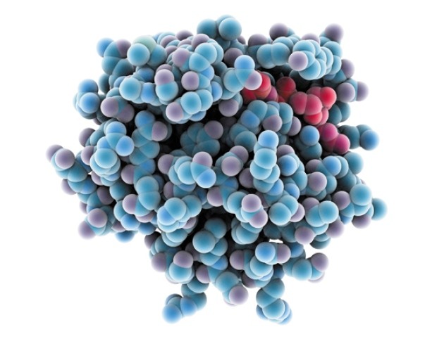Cancer: The Ras renaissance | Nature