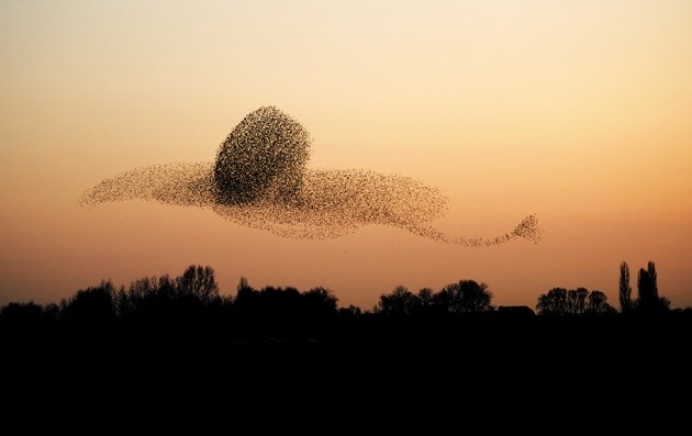 www.nature.com