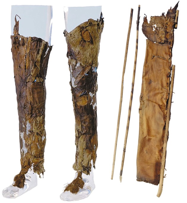 Early humans were picky dressers | Nature Early humans were picky dressers | Nature