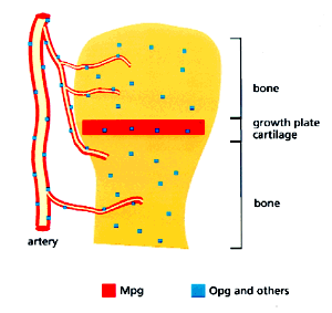 feature-image