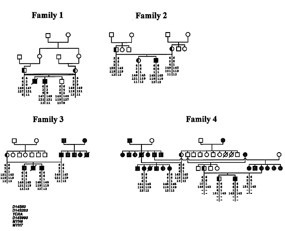 SLC7A7, encoding a putative permease-related protein, is mutated in patients with lysinuric protein intolerance