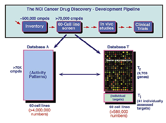Cancer genetic database, Cancer genetic database, Medicamente pentru o nouă generație de viermi