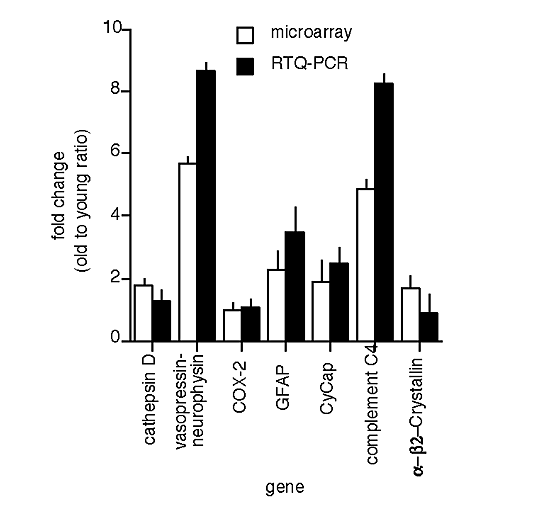 Gene-expression profile of the ageing brain in mice
