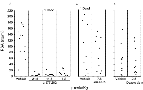 A peptide–doxorubicin 'prodrug' activated by prostate-specific antigen selectively kills prostate tumor cells positive for prostate-specific antigen i