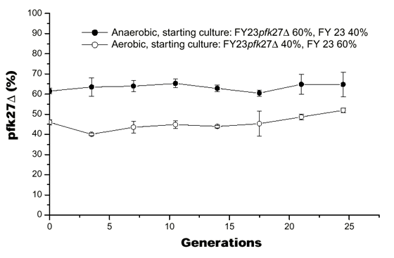 A functional genomics strategy that uses metabolome data to reveal the phenotype of silent mutations