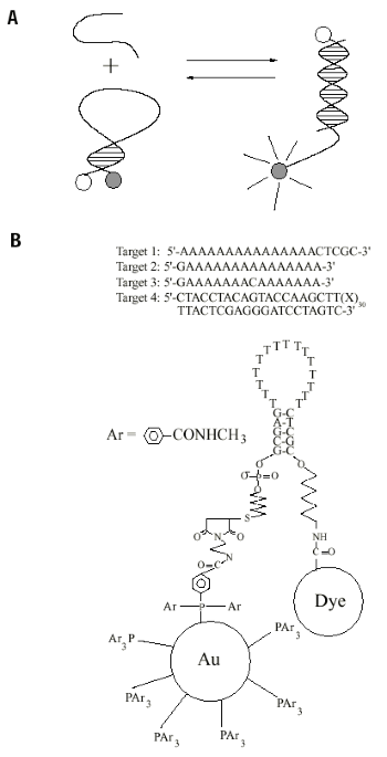 Single Mismatch Detection Using Gold Quenched Fluorescent Oligonucleotides Nature Biotechnology Single Mismatch Detection Using Gold Quenched Fluorescent Oligonucleotides Nature Biotechnology