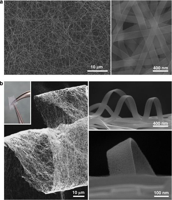 A flexible and transparent ceramic nanobelt network for soft electronics