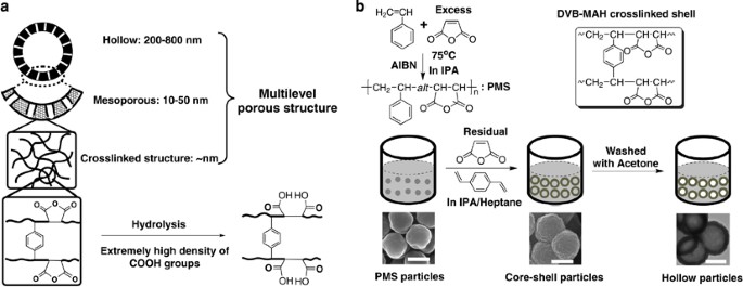Super Adsorbent Material Based On Functional Polymer Particles With A Multilevel Porous Structure Npg Asia Materials