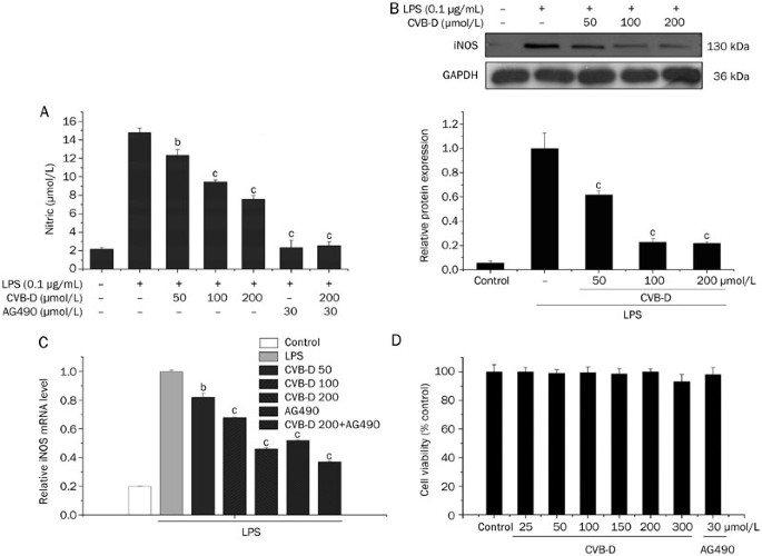 Cyclovirobuxinum D suppresses lipopolysaccharide-induced inflammatory  responses in murine macrophages in vitro by blocking JAK-STAT signaling  pathway | Acta Pharmacologica Sinica