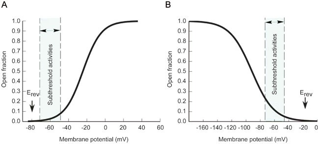 Electrical Resonance With Voltage Gated Ion Channels Perspectives From Biophysical Mechanisms And Neural Electrophysiology Acta Pharmacologica Sinica