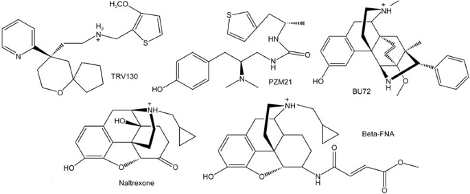 Computational Insights Into The G Protein Biased Activation And Inactivation Mechanisms Of The M Opioid Receptor Acta Pharmacologica Sinica