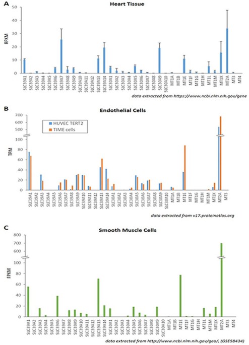 which is better sermorelin tesamorelin or ipamorelin sermorelin vs tesamorelin vs ipamorelin comparison cjc-1295 vs ipamorelin  vs tesamorelin vs sermorelin peptides growth hormone comparison low dose  hgh vs cjc-1295 ipamorelin anti-aging Sermorelin vs.