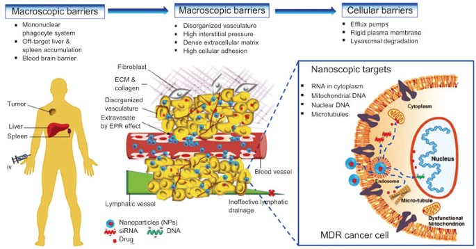 PDF) An updated landscape on nanotechnology-based drug delivery