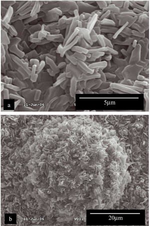 feature-image