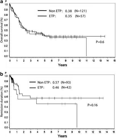 Clinical And Molecular Characterization Of Early T Cell Precursor Leukemia A High Risk Subgroup In Adult T All With A High Frequency Of Flt3 Mutations Blood Cancer Journal