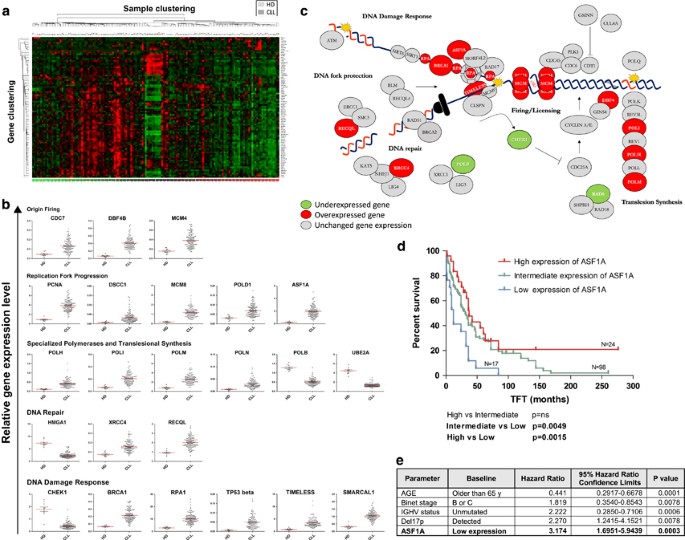 3R gene expression in chronic lymphocytic leukemia reveals insight into disease evolution