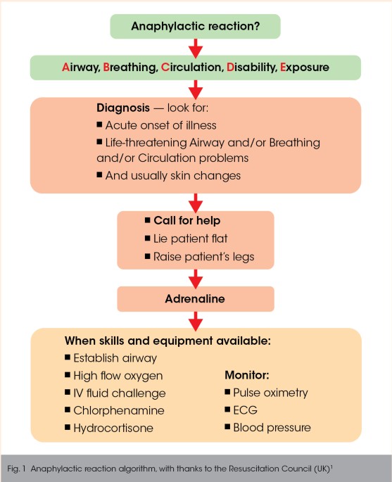 Medical emergencies: anaphylaxis | BDJ Team