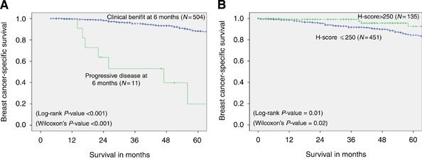 Long-term clinical outcome of oestrogen receptor-positive operable primary breast cancer in older women: a large series from a single centre