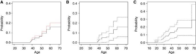 Renal cancer and pneumothorax risk in birt–hogg–dubé syndrome; an analysis of 115 flcn mutation carriers from 35 bhd families