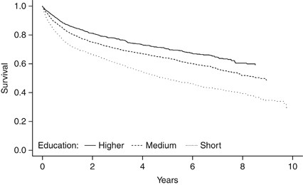 Socioeconomic position, treatment, and survival of non-hodgkin lymphoma in denmark – a nationwide study