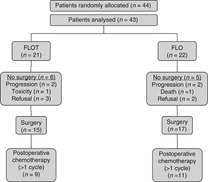Feasibility of perioperative chemotherapy with infusional 5-FU, leucovorin,  and oxaliplatin with (FLOT) or without (FLO) docetaxel in elderly patients  with locally advanced esophagogastric cancer | British Journal of Cancer