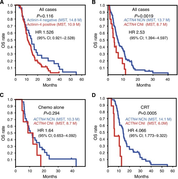 PDF) ACTN4 gene amplification is a predictive biomarker for