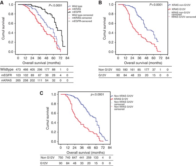 Kras mutation lung cancer survival
